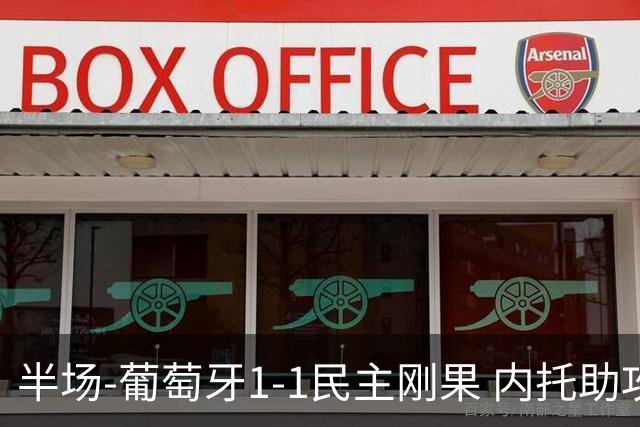 半场-葡萄牙1-1民主刚果 内托助攻若昂·内维斯破门维萨补时扳平