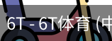 6T体育